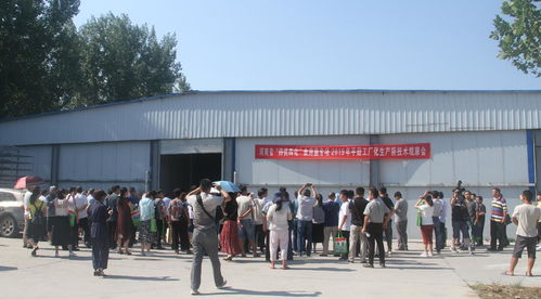 河南省“四優(yōu)四化”科技支撐行動(dòng)計(jì)劃食用菌專項(xiàng)平菇、雙孢蘑菇工廠化生產(chǎn)新技術(shù)觀摩交流會(huì)暨技術(shù)轉(zhuǎn)讓會(huì)成功召開